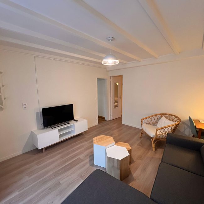 salon-avec-tv-location-appartement-la-bourboule